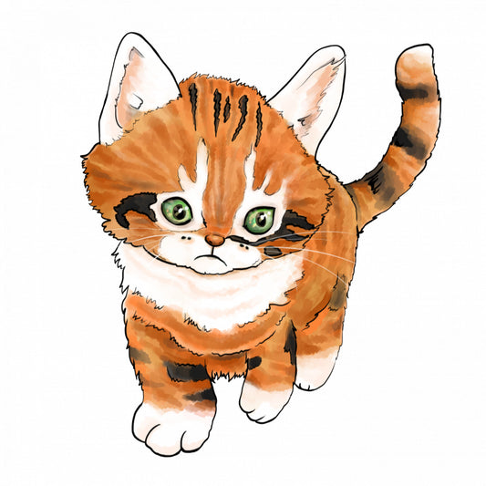 Set 4 bucati, Sticker decorativ, Pui de pisica cu urechi lungi, Rezistent la apa, NO7735, 10 cm, Multicolor