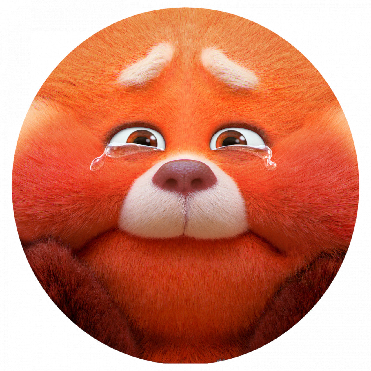Set 4 bucati, Sticker decorativ, Turning Red Panda Mei cu lacrimi, Rezistent la apa, NO8745, 10 cm, Multicolor