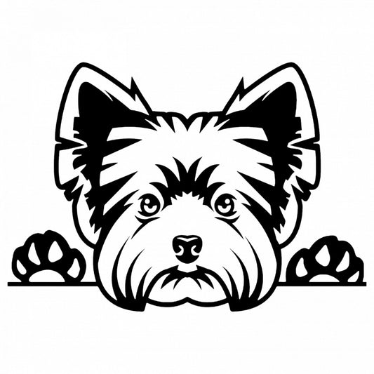 Set 4 bucati, Sticker decorativ, Yorkshire Terrier rasa caine, Rezistent la apa, NO8612, 10 cm, Multicolor