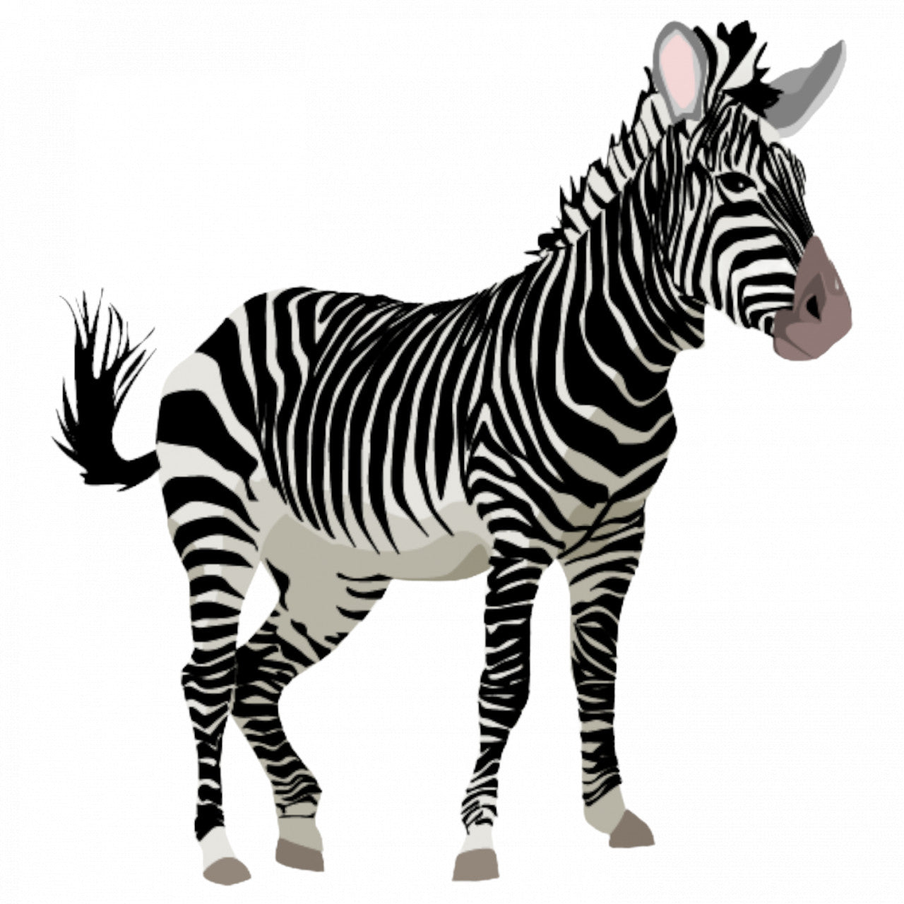 Set 4 bucati, Sticker decorativ, Zebra Africana, Rezistent la apa, NO9517, 10 cm, Multicolor