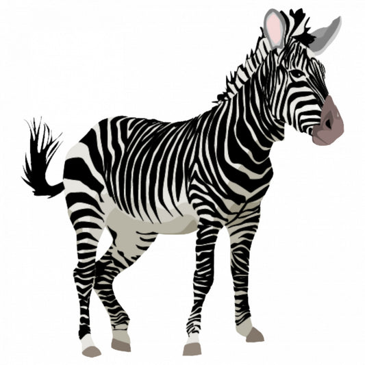 Set 4 bucati, Sticker decorativ, Zebra Africana, Rezistent la apa, NO9517, 10 cm, Multicolor