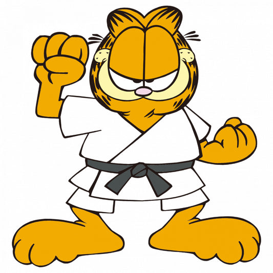 Set 5 bucati, Sticker decorativ, Garfield luptator, Rezistent la apa, NO9401, 6 cm, Multicolor