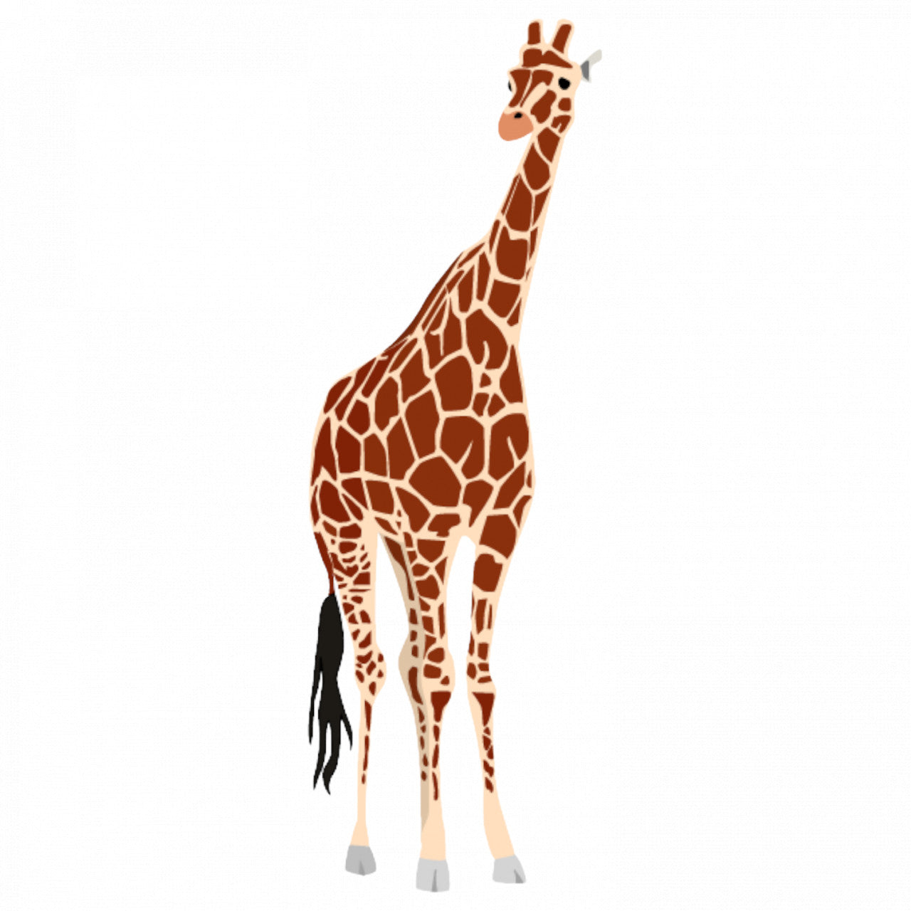 Set 5 bucati, Sticker decorativ, Girafa Reticulat��, Rezistent la apa, NO9426, 6 cm, Multicolor