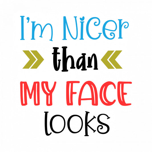 Set 5 bucati, Sticker decorativ, I'm nicer than my face looks, Rezistent la apa, NO9703, 6 cm, Multicolor