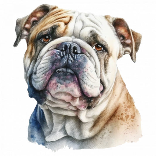 Set 5 bucati, Sticker decorativ, portret Bulldog, Rezistent la apa, NO7703, 6 cm, Multicolor