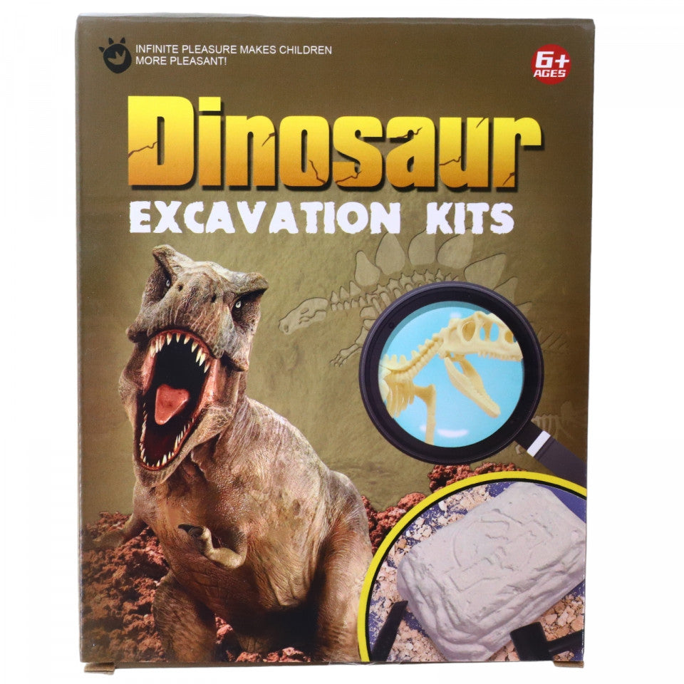 Set educativ paleontologie, Descopera fosile de dinozauri, T-REX, NO42, 15 cm, Alb