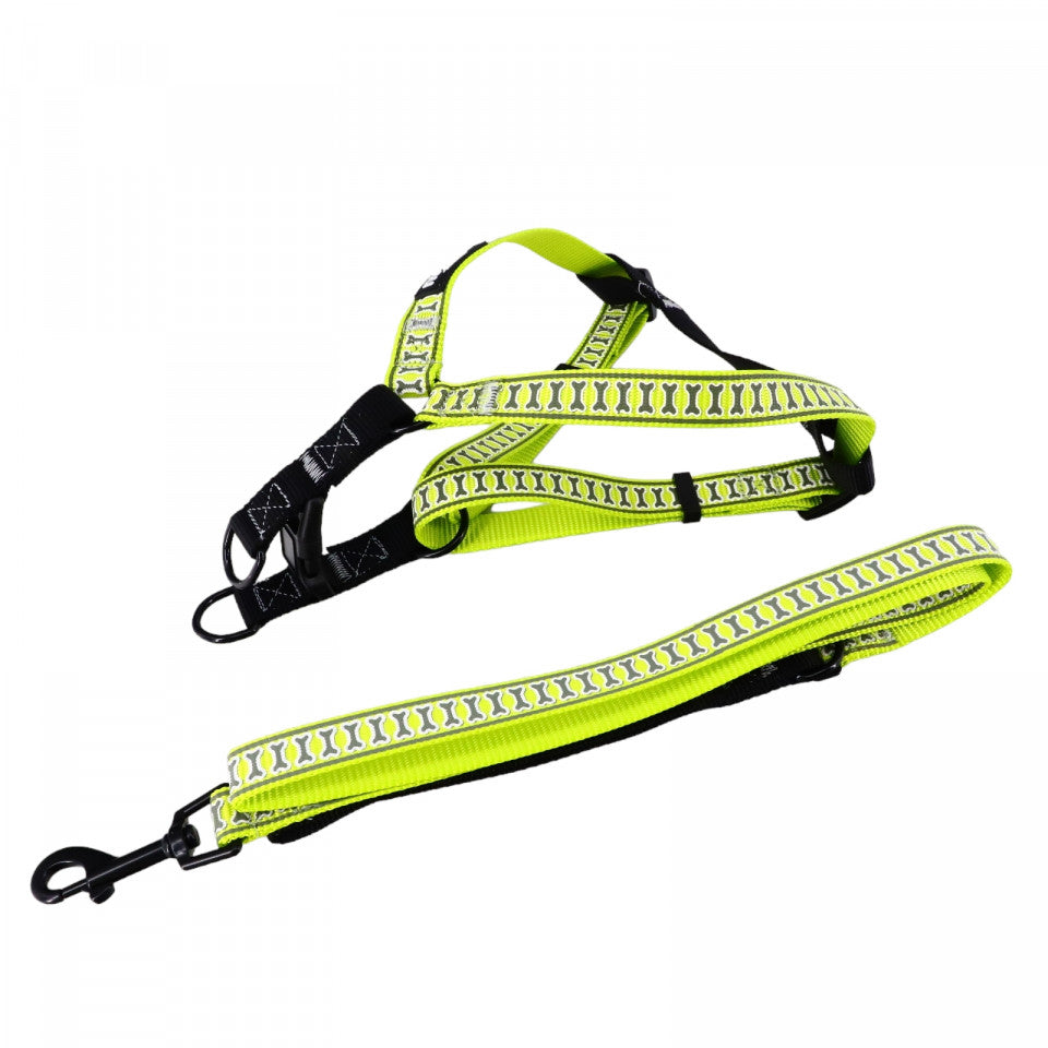 Set ham si lesa caine, NO5445, 40 - 65 cm ham, 45 - 80 cm lesa, Verde