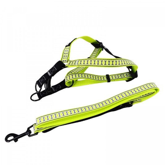 Set ham si lesa caine, NO5445, 40 - 65 cm ham, 45 - 80 cm lesa, Verde