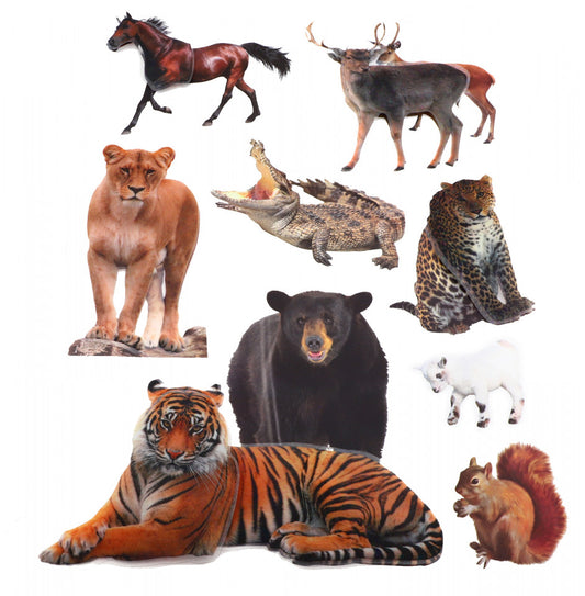 Set Sticker 8D pentru copii, Animale, decor camera, ST-HK801, Multicolor
