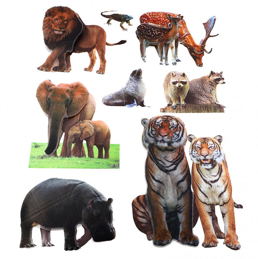 Set Sticker 8D pentru copii, Animale, decor camera, ST-HK805, Multicolor
